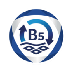 В5